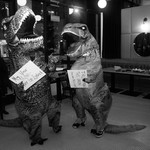 Elizabeth Reynolds - We still have dinosaurs at our party