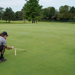 Checkin the green speeds
