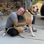 Beast dog