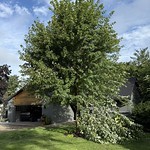 Landscaping - Storm damage at the Dead End Ranch