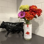 Casey gave me some flowers from his back yard. I’m a big time flower guy now.