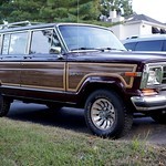 A beautiful woody