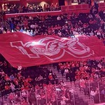 100 years of Red Wings