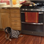 Piper found a Paella leak