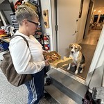 Durby has been waiting patiently for a pizza treat