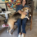 Durby would like attention