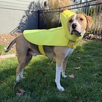 Kari is apparently cleaning out the costume bins…