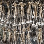 Some Garlic