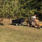 David hard at work while Oscar chases