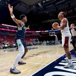 Iowa Wolves - Guardin