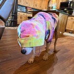 When Durby's hoodie covers his eyes, he becomes paralyzed.