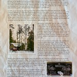 The History of the Breu Log Cabin