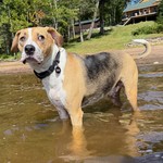 Derpy Durb