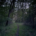 Camping - Hikin at Dusk