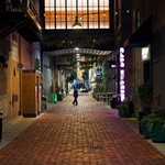 Detroit alleyways are very unsafe