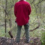 Bird watching