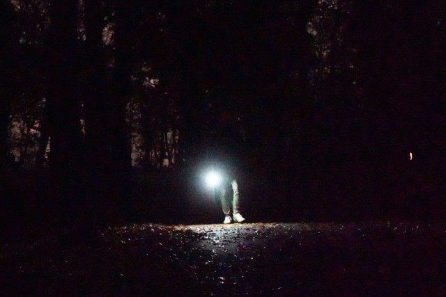 Oh hey, Judson, is this where you wanna propose?