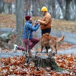 These are really some great sticks