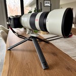 Didn't originally plan on using this lens, but it had the best reach and bokeh for these shots.