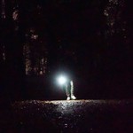 Oh hey, Judson, is this where you wanna propose?