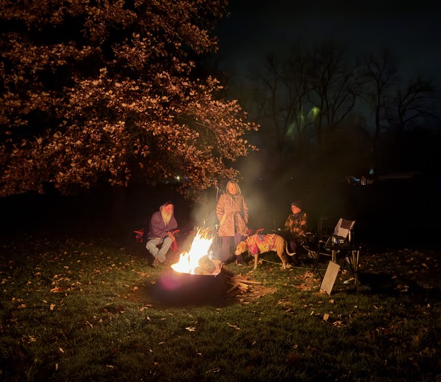 Hangin next to the pin oak