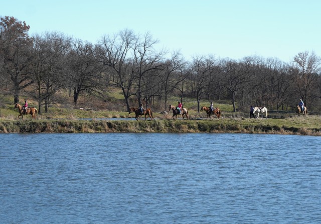 So many horses at Whiterock this weekend