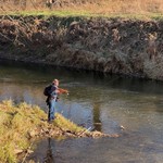 Fishin the middle raccoon