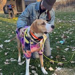 Gettin some pets from Vicki