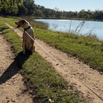 Hangin on this trail