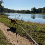 Trottin along the fishin ponds