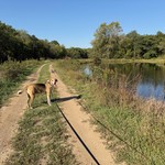 Enjoyin the walk
