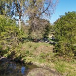 The campsite
