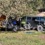 Tucked beneath the cottonwood